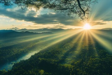 要冬眠的小动物有哪些